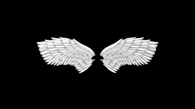 White angel or bird wings gently flap in a seamless loop on an alpha channel background.