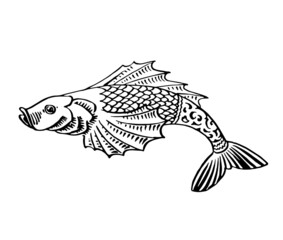 vintage retro ornamental fish koi illustration