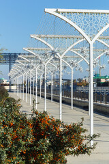 Fototapeta premium Beautiful alley in the city