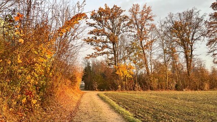 Bunte Herbststimmung