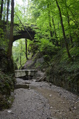 Mystic forest and stone bridge