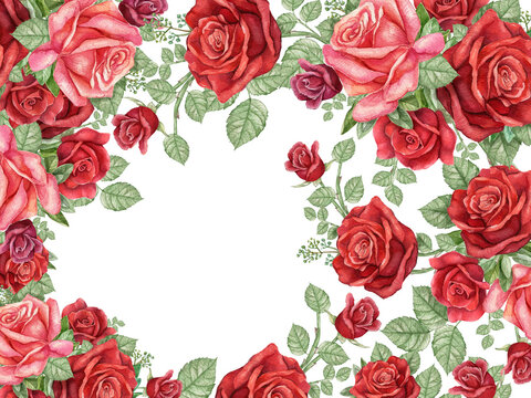 Watercolor durk red rose frame, burgundy red flower border,wedding, bridal shower frame,Vintage roses on white background.