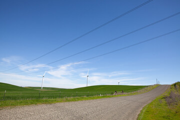 Fototapeta na wymiar Wind turbines with blue sky and country road