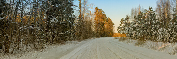 winter road and snow with landscape of trees with frost. Vintage style panorama