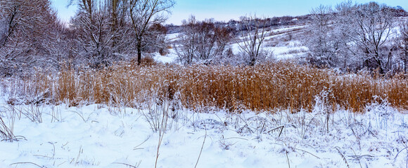 Sunday winter morning in countryside Ukraine