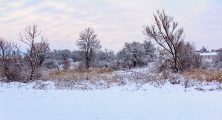 Sunday winter morning in countryside Ukraine