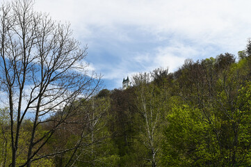 View of forest and the Schönberg Tower, a 26 meter high observation tower in the middle of forest in the background.