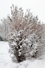 Heavy snowfalls in Moscow. Snow covered everything around