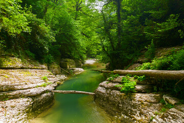 Obraz premium Wet canyon of the Psakho river. Mountain river with blue water. Sochi, Russia. Natural background