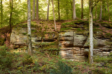 An enchanting scenery of a hiking route in the woods of Beaufort, Luxembourg