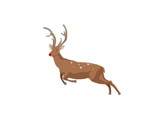 Illustration of a deer in motion for your design. Deer spotted brown isolated on white background.