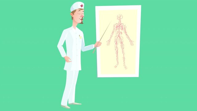 Lecturer doctor. Cartoon video of a doctor who leads an explanatory lecture showing on the anatomical atlas. The video is looped and contains a transparent background alpha channel. 