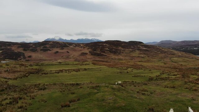 Aerial footage showing the vast landscape that is the Isle of Skye as sheep run into the distance the Cullin Mountain Range can be seen in the backdrop covered with snow at it's summit.