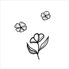 Monochrome line art bouquet flower for logo and icon design. Isolated black line stroke vector.