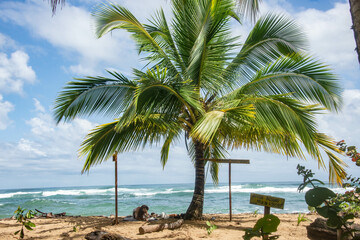 Beautiful tropical Punta Uva Beach, Limon, Costa Rica