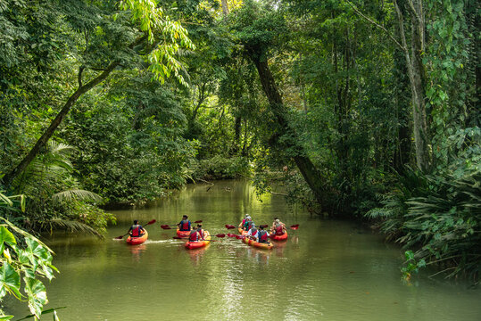 Kayaking  in the jungle, Puerto Viejo, Costa Rica