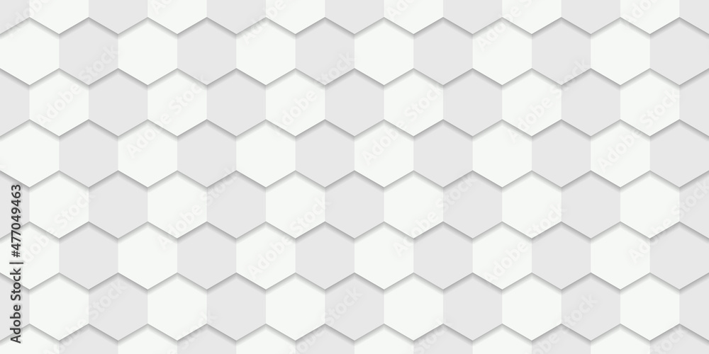Poster abstract hexagon white background for presentation. embossed futuristic simple background. white and