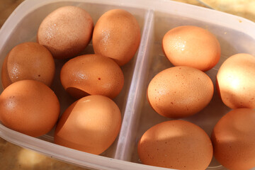 eggs in a basket