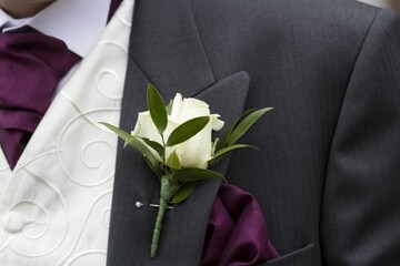 buttons, collar, elegance, event, guy, husband, marriage, married, rose, shirt, special, suit,...