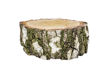 round timber from birch on a white background