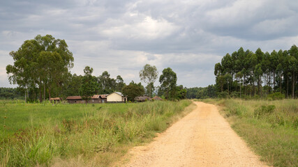 Village, Uganda, East Africa