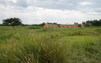 Village, Uganda, East Africa