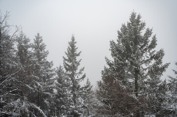 Winterlandschaft am Rennsteig mit Bärenstein bei Oberhof im Schnee