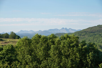 Green landscape with forests, rocky mountains in the background and sky with clouds 