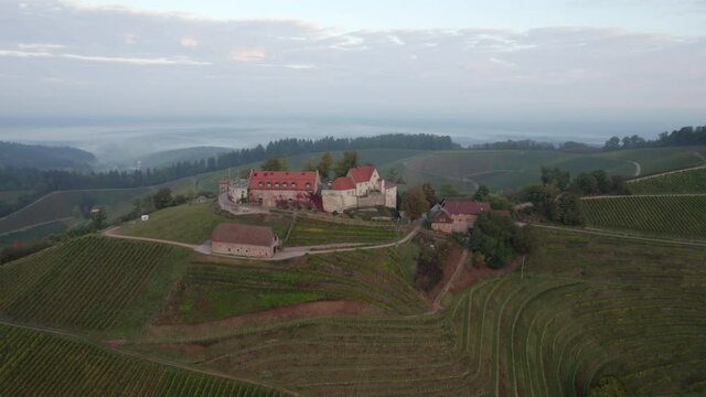Schloss Staufenberg on top of vineyards with scenic background