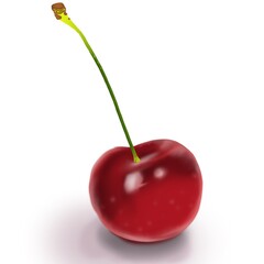 Illustration cherries isolated