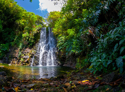 View of a waterfall hidden in a forest located in Mauritius © Kestreloculus