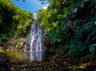 Fototapeta na wymiar View of a waterfall hidden in a forest located in Mauritius