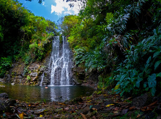 Fototapeta premium View of a waterfall hidden in a forest located in Mauritius
