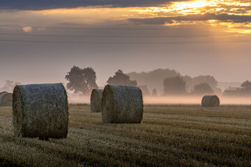 Paysage campagne 1157