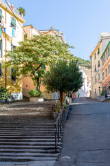 Fototapeta na wymiar Cinque Terre glimpse
