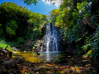 Naklejka na ściany i meble View of a waterfall hidden in a forest located in Mauritius