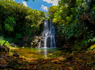 Long exposure view of a waterfall hidden in a forest located in Mauritius