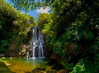 Long exposure view of a waterfall hidden in a forest located in Mauritius