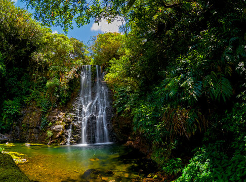 Long exposure view of a waterfall hidden in a forest located in Mauritius © Kestreloculus