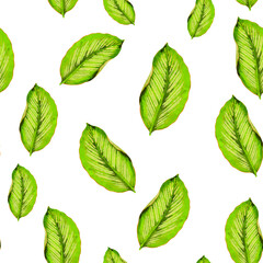 Spring flowers print. Seamless floral pattern. Plant design for fabric, cloth design, covers, manufacturing, wallpapers, print, gift wrap and scrapbooking Free Download Vector