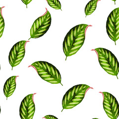 Spring flowers print. Seamless floral pattern. Plant design for fabric, cloth design, covers, manufacturing, wallpapers, print, gift wrap and scrapbooking Free Download Vector