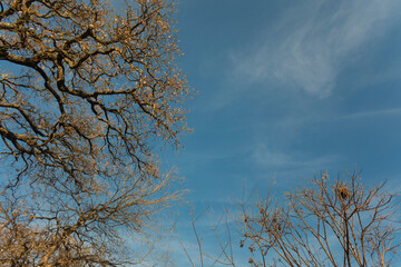 Brownwood Texas lake, walking trail, sunny day mourning, beautiful relaxing panorama  view, recreation area.