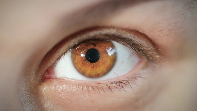 Macro extreme close up beautiful female brown eye with dilated pupil shrinking. Natural portrait of middle eastern model with and smooth skin looking at camera with impressive iris. Slow motion, 4K.