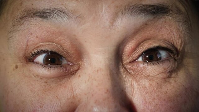 Face of surprised or shocked old Arab woman with brown eyes raising eyebrows. Mature female portrait of elderly senior citizen with wrinkles on face looking at camera. Turkish, Asian ethnicity. 4K