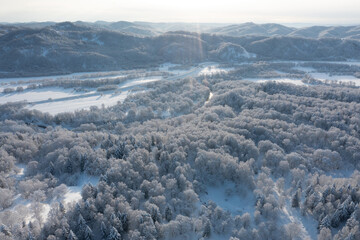 The frozen trees at the top of the mountain are covered with white snow. On a frosty sunny December...