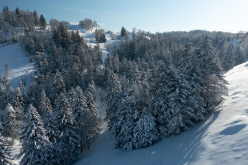 The frozen trees at the top of the mountain are covered with white snow. On a frosty sunny December...