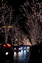 Tokyo,Japan - December 26, 2021: Illumination at Marunouchi Nakadori street in Tokyo in the winter...