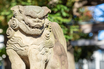 Fototapeta na wymiar close-up stone lion- dog statue in shinto shrine in tokyo