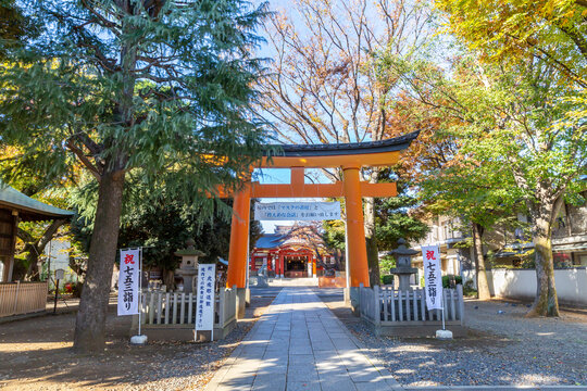 red torii gate of hatagaoka hachiman shinto shrine surrounded by autumn trees