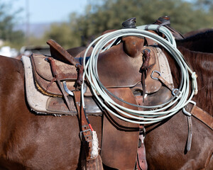 A rope on a horse saddle